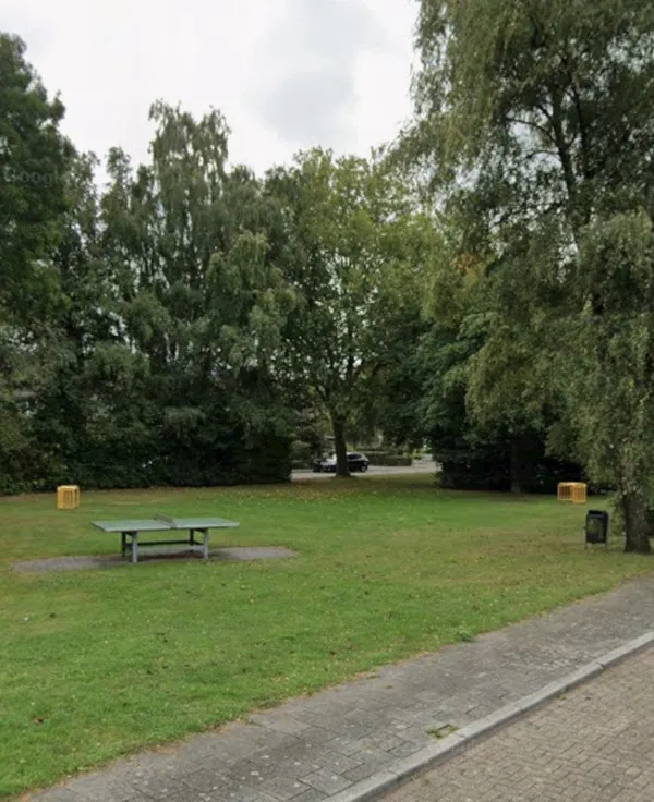 Pieter Breughelstraat - Dongen